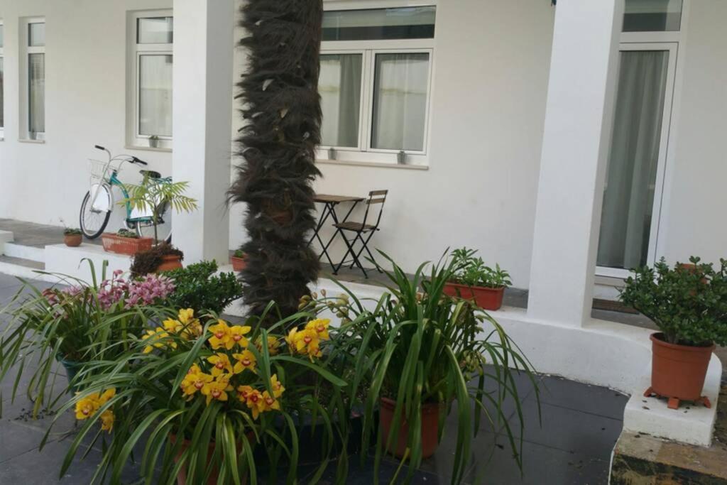 Albergue Dos Cagareus II Αβέιρο Εξωτερικό φωτογραφία